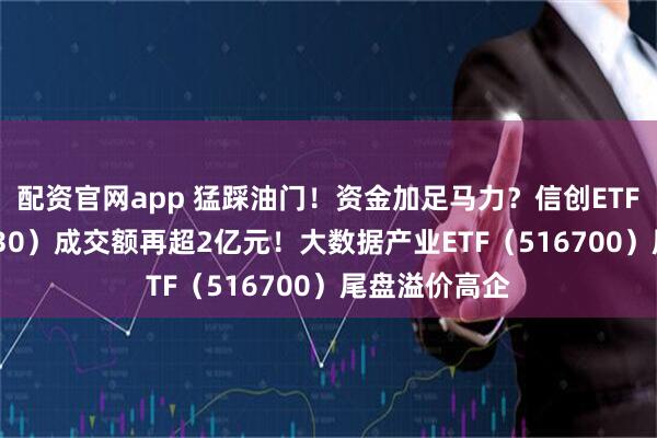 配资官网app 猛踩油门！资金加足马力？信创ETF基金（562030）成交额再超2亿元！大数据产业ETF（516700）尾盘溢价高企