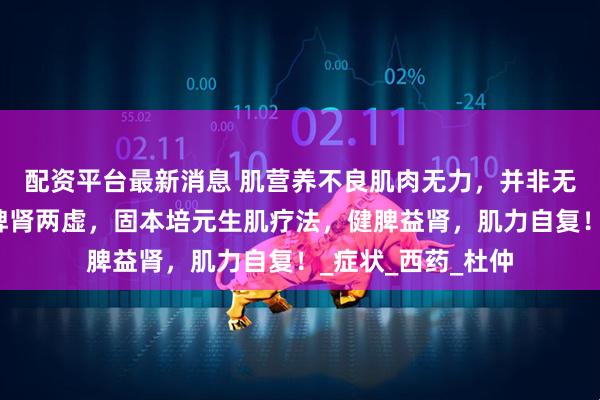 配资平台最新消息 肌营养不良肌肉无力，并非无药可医，多半是脾肾两虚，固本培元生肌疗法，健脾益肾，肌力自复！_症状_西药_杜仲