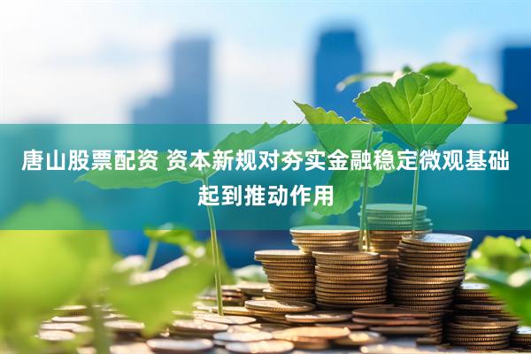 唐山股票配资 资本新规对夯实金融稳定微观基础起到推动作用
