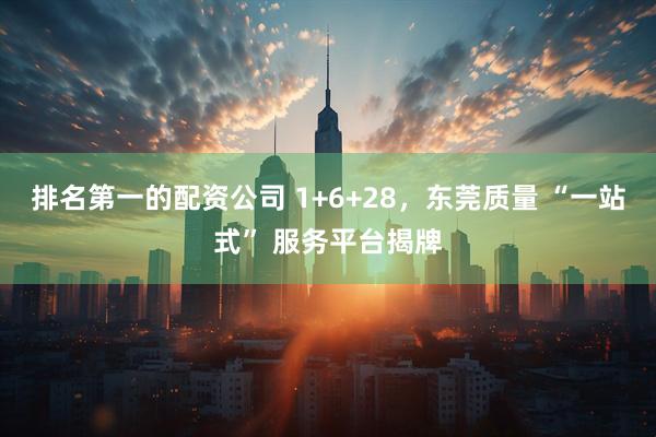 排名第一的配资公司 1+6+28，东莞质量 “一站式” 服务平台揭牌
